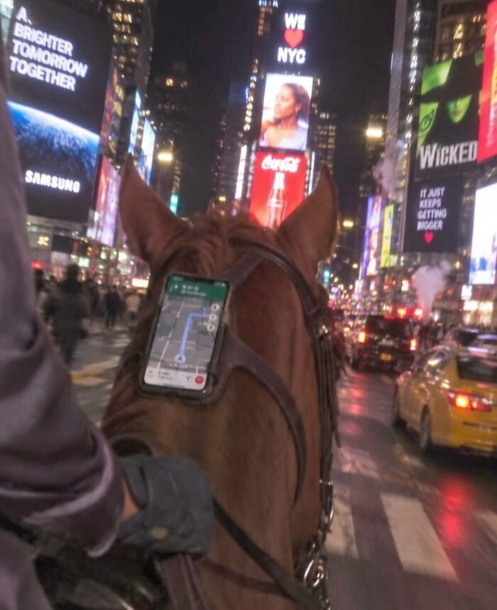 Un caballo con un teléfono navegando por la ciudad, una de las imágenes y memes sin contexto más delirantes.