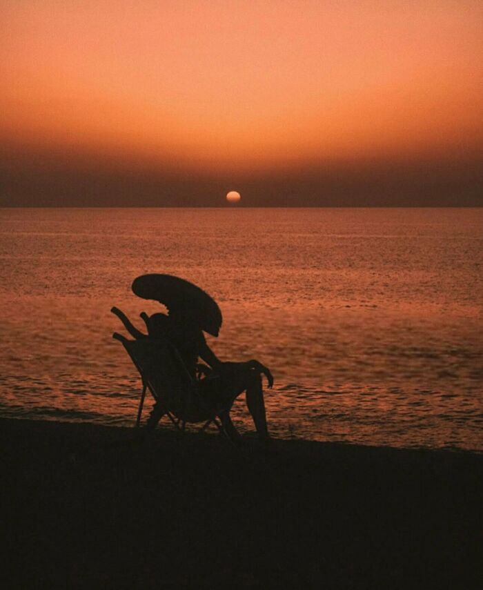 Memes sin contexto con la silueta de un Alien contemplando el atardecer en la playa