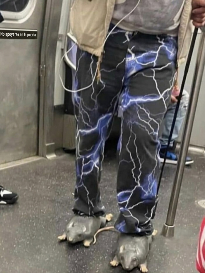 Meme sin contexto de una persona usando pantalones de rayos y zapatos con forma de rata.