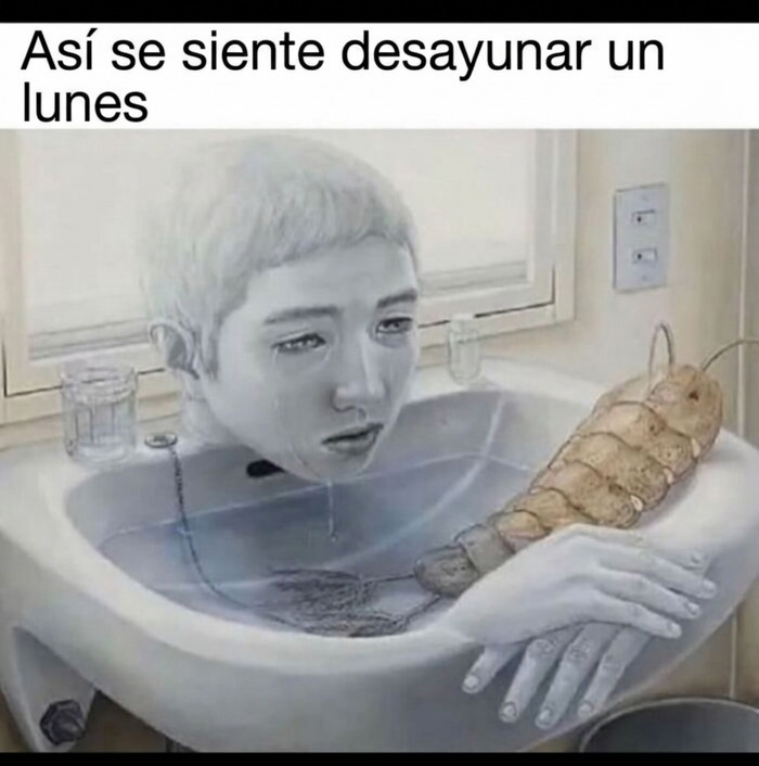 Meme sin contexto de una cabeza triste en un lavabo con un pan gigante.