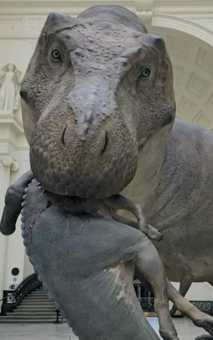 Estatua gigante de un tiranosaurio rex comiendo, entre mentiras ridículas publicadas en internet para reír.