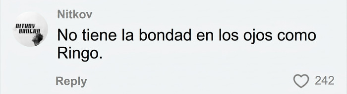 Comentario de un usuario que compara la mirada del actor Barry Keoghan con la de Ringo Starr.