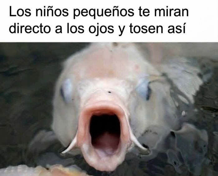 Un pez con la boca abierta representando memes divertidos de niños.