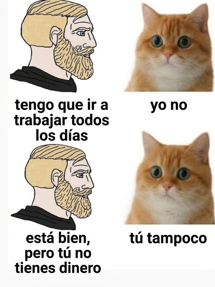 Memes divertidos sobre la rutina laboral de una persona y un gato.
