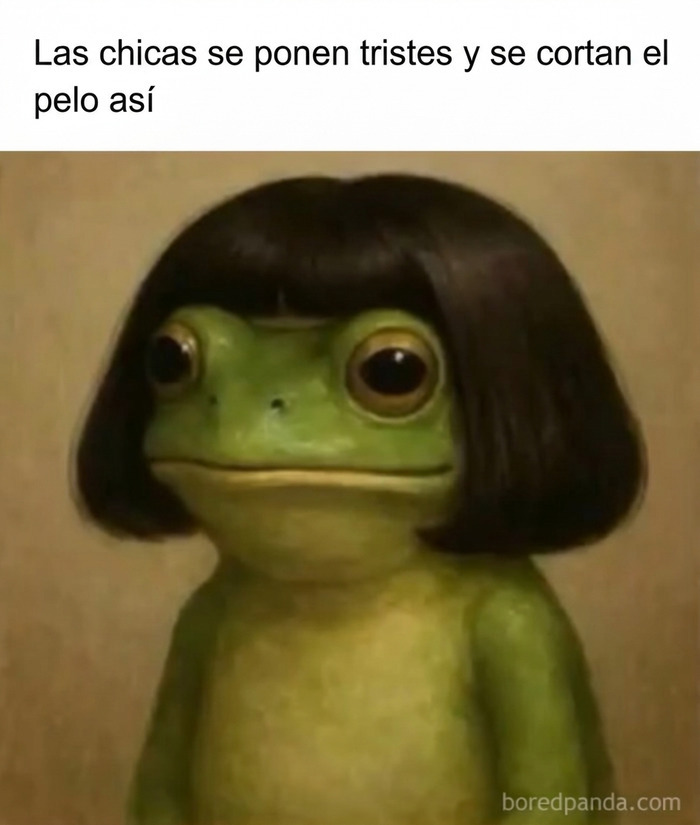 Una rana graciosa con peluca negra corta en memes divertidos sobre cortes de cabello