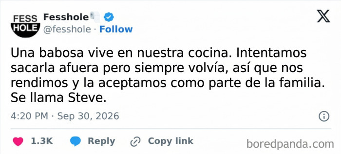 Publicación de Fesshole sobre una babosa mascota como parte de confesiones anónimas