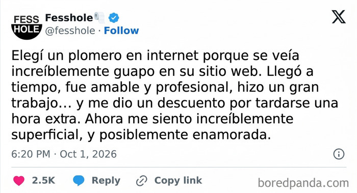 Texto de confesiones anónimas sobre contratar a un plomero guapo de internet