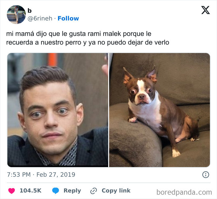 Comparación cómica entre Rami Malek y un perro en uno de los memes divertidos.