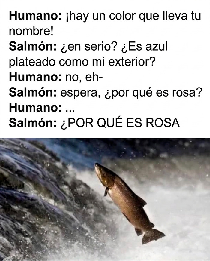 Salmón saltando en la corriente de agua como parte de memes divertidos de animales.