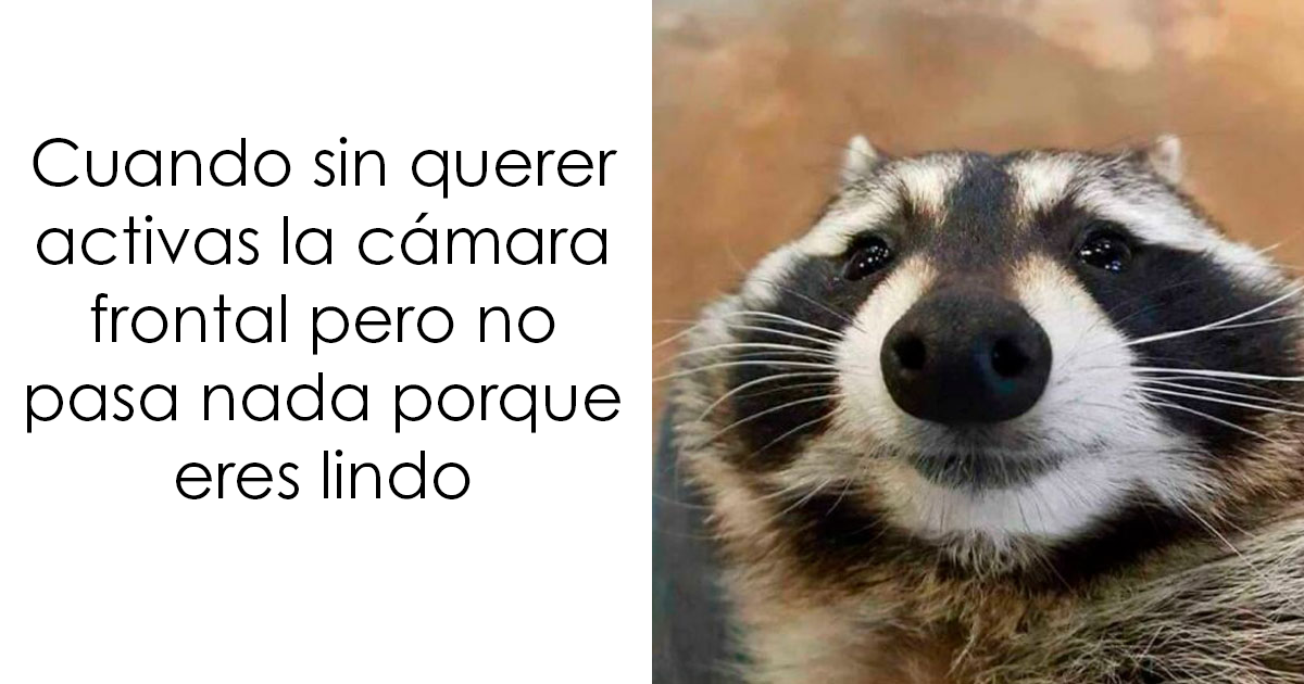 27 Memes divertidos por lo certeros que son