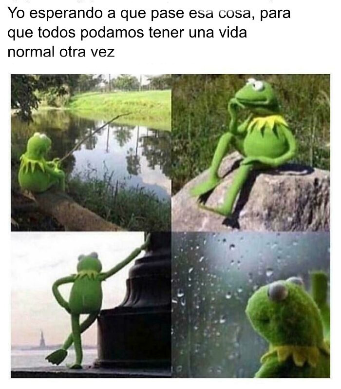 Meme de la rana René esperando pacientemente, uno de los memes y bromas divertidos de internet.