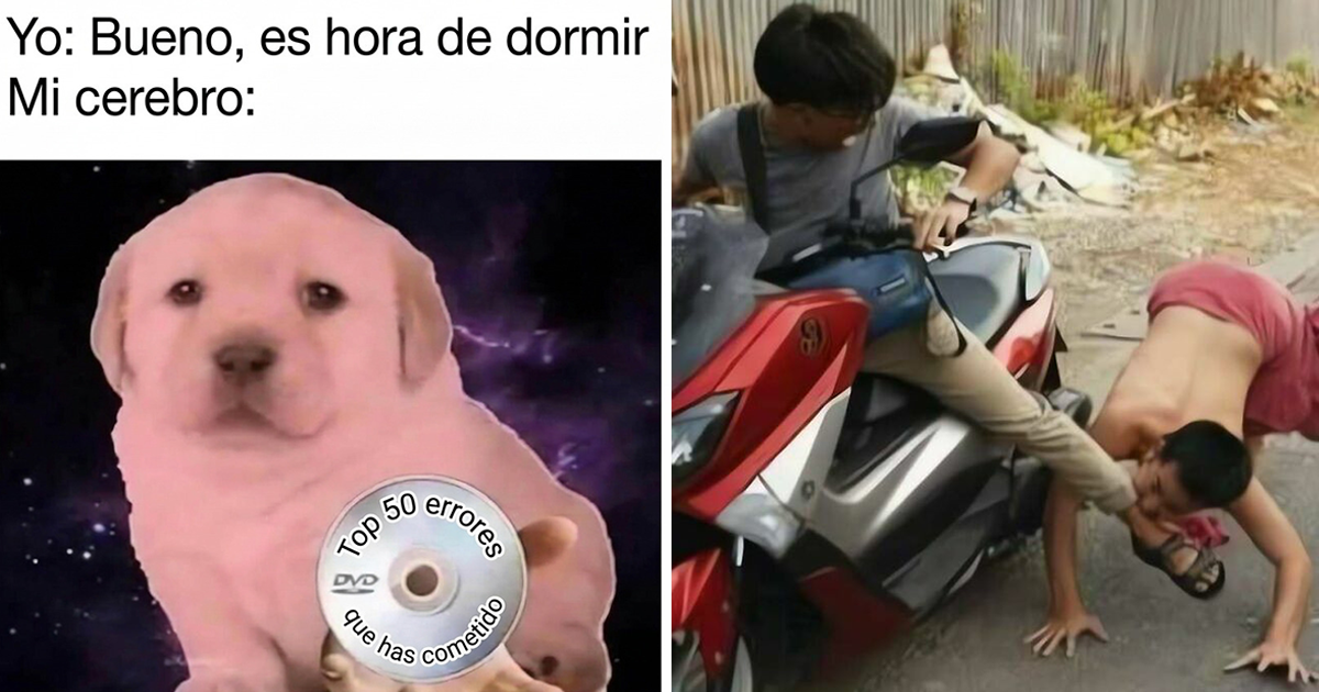 41 Imágenes tan confusas como divertidas que quizá necesitan cierto contexto
