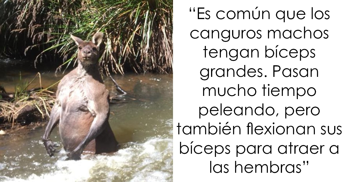 30 Datos curiosos para llenarte la cabeza de asombro en vez de angustia