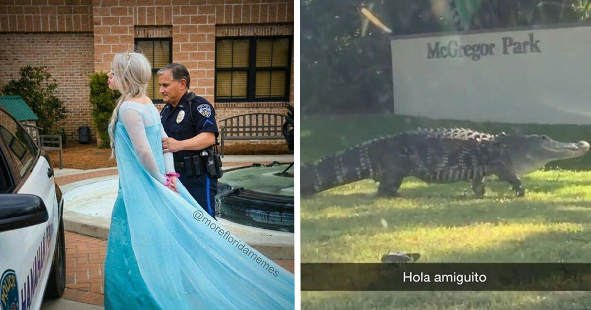 30 Memes mostrando la locura que se vive en Florida cada día