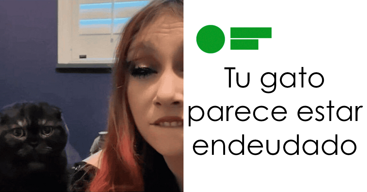 36 Insultos salvajes encontrados en Internet y que eran demasiado buenos para no compartirlos